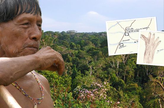 Indigenous man in front of rainforest