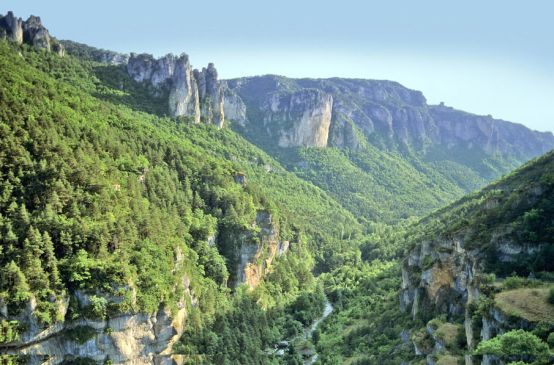 A rugged, forested valley in southern France