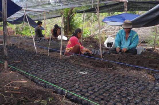Volunteers fill bags with soil that will be used for planting tree seedlings