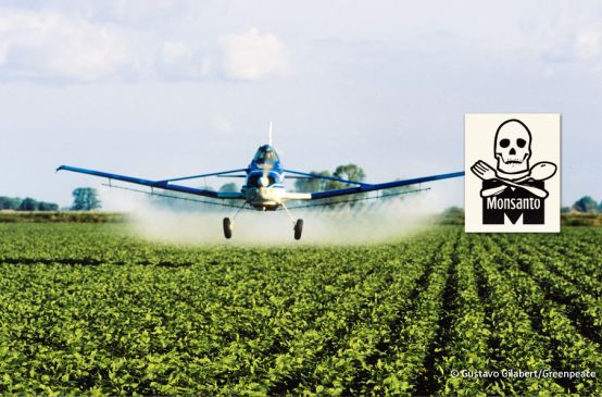 Crop duster aircraft spraying chemicals on a soy field