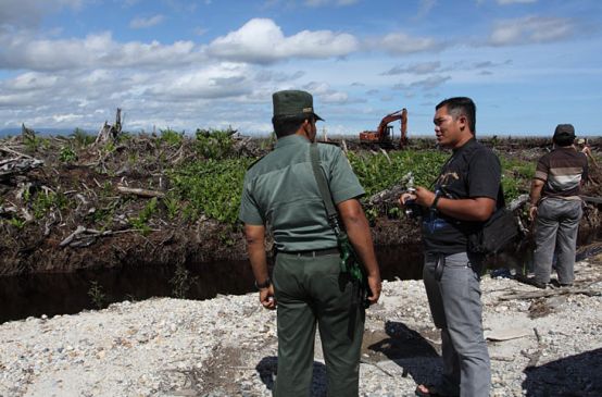 Two men standing infront of a clearance for palm oil palntation