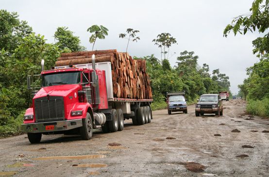 Truck loaded with timber in the rainforest