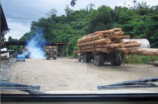 A Truck loaded with tropical timber in the Malaysian state Sabah