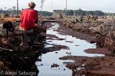 Destruction of the rainforest