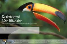 rainforest donation certificates rainforest rescue