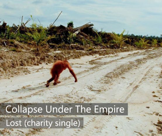 A lonely orangutan in a desolate landscape