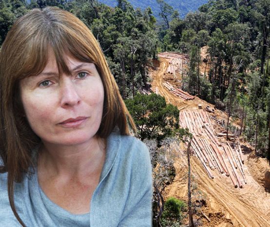 Photo montage of Sarawak Report’s Clare Rewcastle Brown and a forest being cleared