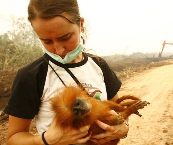 Karmele Llano is holding a primate whose rainforest has been destroyed for palm oil