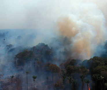 Aerial view of burning rainforest