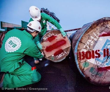 Logs being marked as illegal