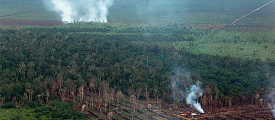 Aerial photograph of a burning rainforest