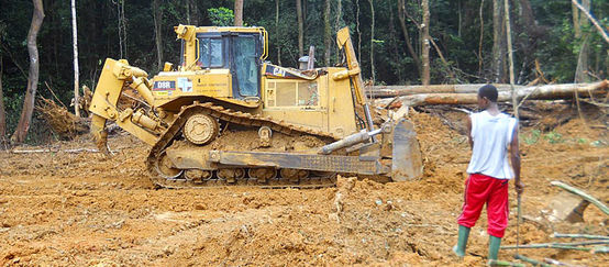 bulldozer in a clear-cut area in the rainforest in cameroon