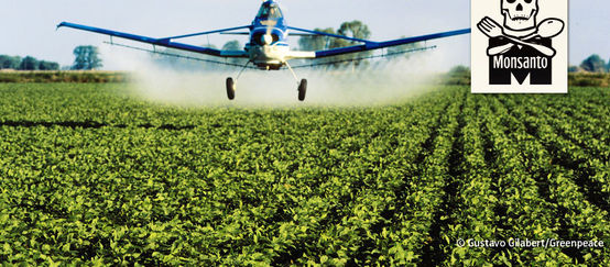 Crop duster aircraft spraying chemicals on a soy field