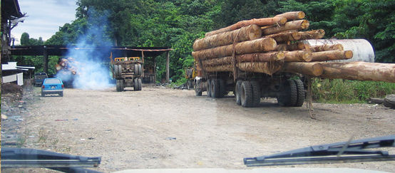 A Truck loaded with tropical timber in the Malaysian state Sabah