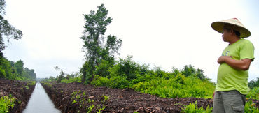 Matek (SADIA) at a drainage ditch in a peat area