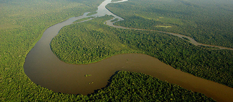 These unique landscapes are at stake The Amazon river