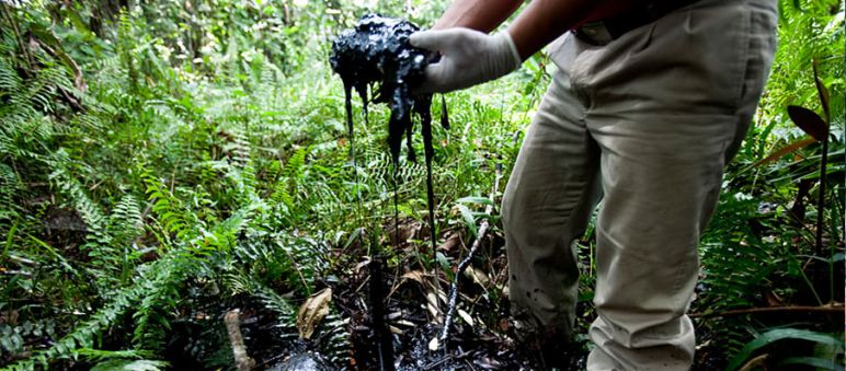 Oil pollutes Ecuador's Amazon rainforest (Picture: http://thepeoplesrecord.com) Man with oil spilled soil in his hands