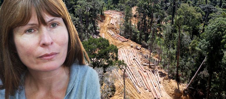 Photo montage of Sarawak Report’s Clare Rewcastle Brown and a forest being cleared