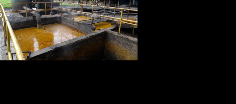 Oil is extracted from palm fruit in mills like this one on Borneo. Palm oil mill on Borneo