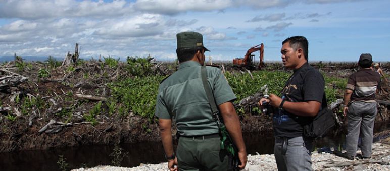 Investigation team in Tripa (Credit: Coalition to save Tripa Forest) Two men standing infront of a clearance for palm oil palntation