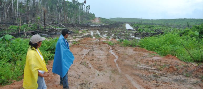 Rainforests are being cleared on a large scale for oil palm plantations in Peru (photo: Mathias Rittgerott, Rainforest Rescue) Two farmers look toward a clearing to be planted with oil palms.