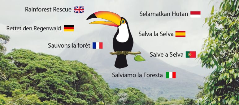 Rainforest, toucan logo
