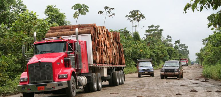 Truck loaded with timber in the rainforest