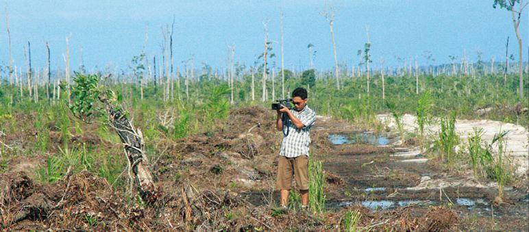 Conservationists record video of palm oil company Wilmar's logging activities