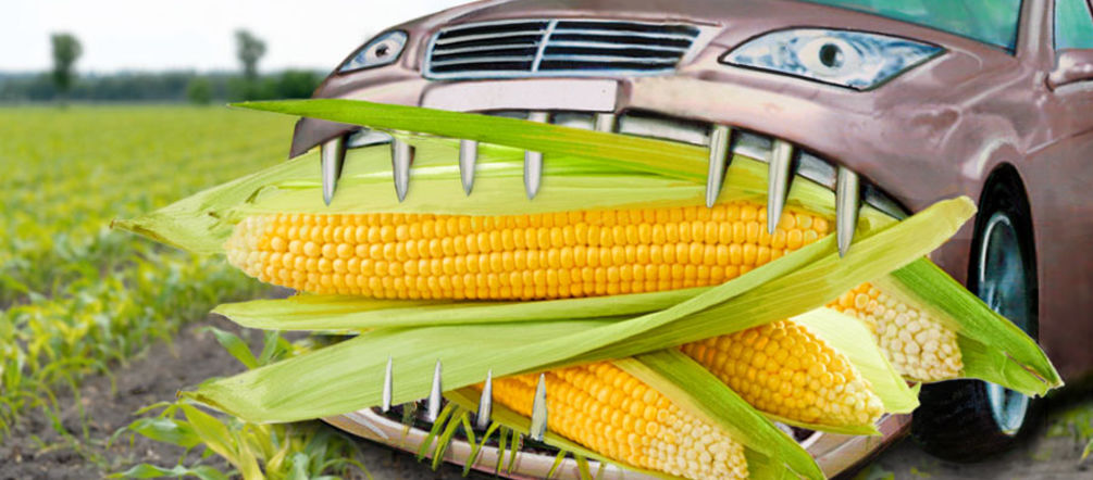 Cars consume peoples food illustrated car eats maize