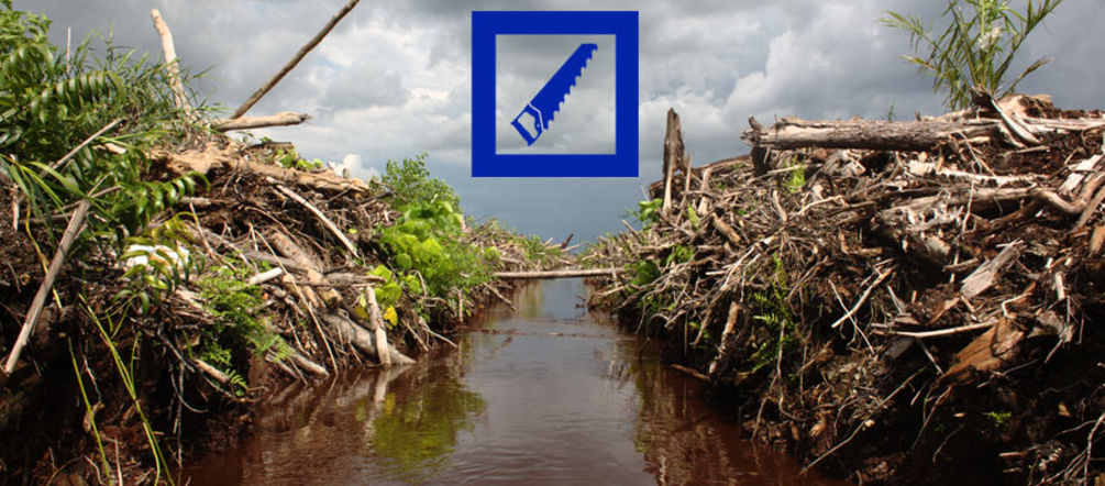 German money for deforestation in Indonesia Freshly cleared rainforest. The Deutsche Bank logo is superimposed on the picture.