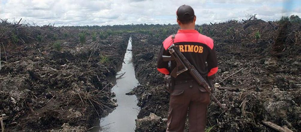 Palm oil companies hire armed thugs to protect their plantations A man wearing a Brimob logo and an assault rifle on his back in front of bulldozed rainforest