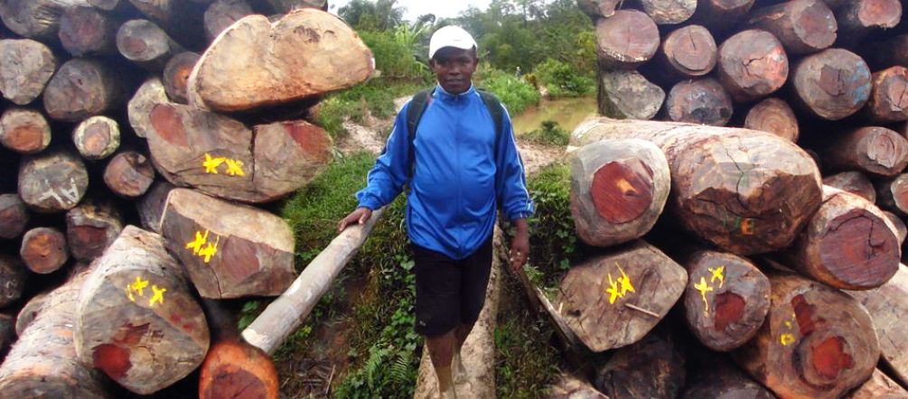 Fighting rosewood trafficking in Madagascar is a dangerous business. Malagasy environmentalist Clovis Razafimalala