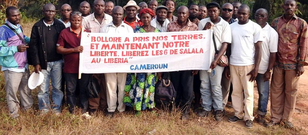 David vs. Goliath: “Bolloré stole our land, and now our freedom.” Farmers protesting at a Socfin plantation in Cameroon