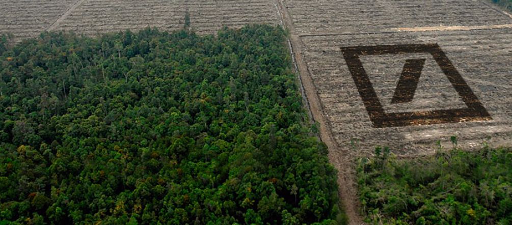 The Deutsche Bank is looking for investors for further deforestation. Instead of species-rich rainforest more palm oil monocultures are planned in Indonesia and Africa Destructed rainforest
