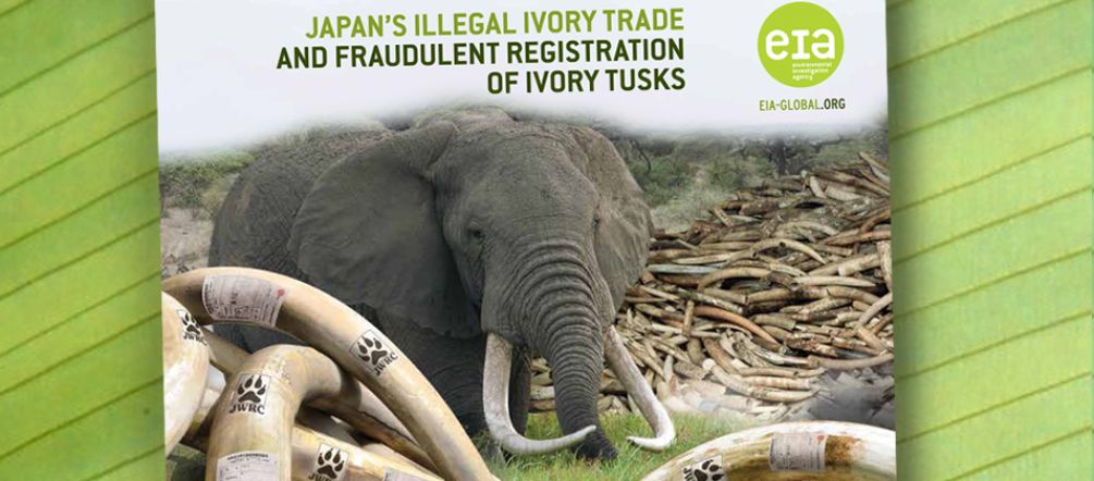 Yahoo is making itself an accomplice of poachers. EIA ivory trade report