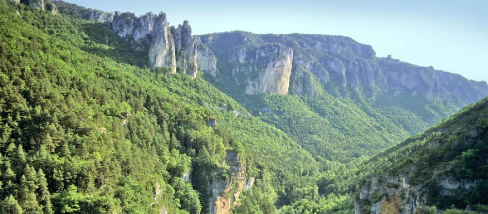 E.On's hunger for biomass may soon eat into this landscape. © david hughes - Fotolia.com A rugged, forested valley in southern France