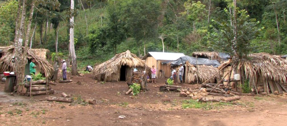 Uprooted community in the Petén department (Photo: Gregory Lassale) A refugee camp in the forest