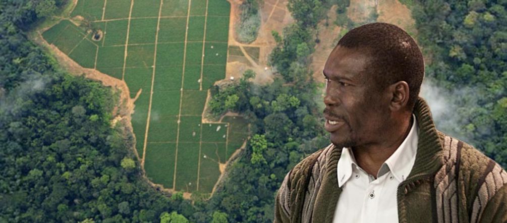 Thanks to Nasako Besingi and others, Herakles Farms has only been able to clear a few hectares of rainforest so far. Picture: Greenpeace / Alex Yallop Nasako Besingi. In the background: rainforest cleared for palm oil seedlings