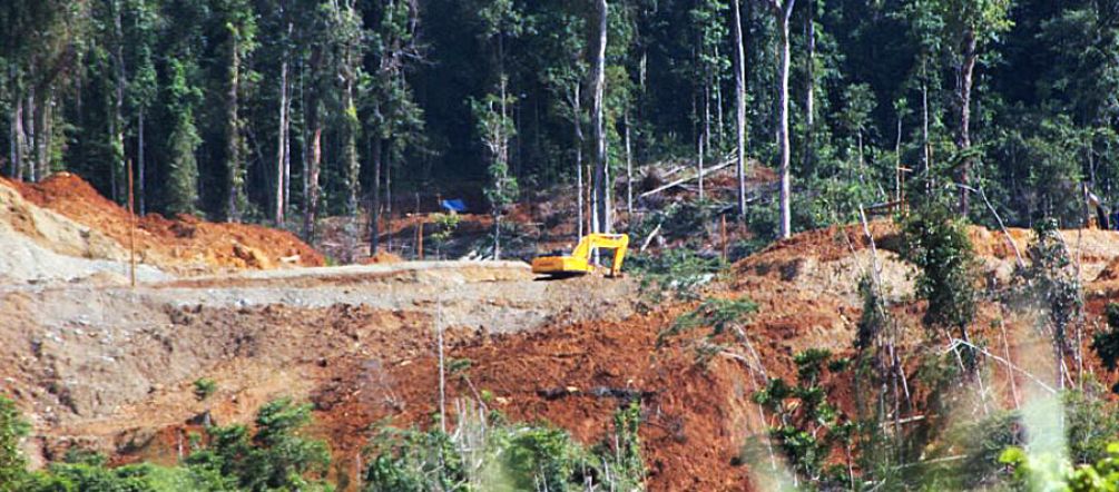 The destruction can still be stopped An excavator destroys the rainforest