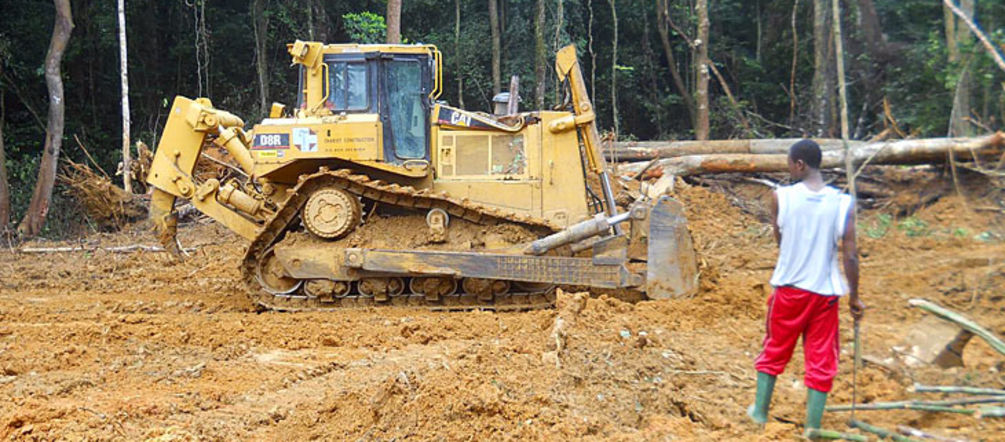 The bulldozers have finally stopped working bulldozer in a clear-cut area in the rainforest in cameroon