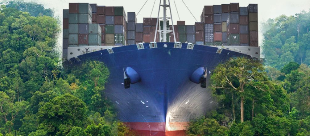 The globalization juggernaut vs. the rainforest A container ship plowing through the rainforest