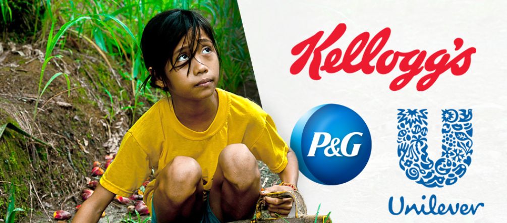 Children often have to help their parents meet their daily harvesting quotas Kellogg’s, Nestlé, Unilever: child labor for palm oil!