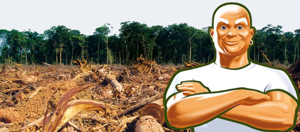 Procter & Gamble still condones rainforest destruction for palm oil (background: iStockphoto; montage: Rainforest Rescue) Mr. Clean standing with his arms crossed in front of a cleared forest