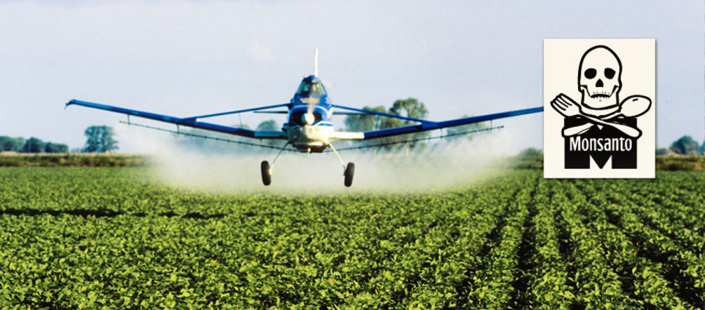 A crop duster sprays a soy plantation with pesticides © Gustavo Gilabert/Greenpeace Airplane spraying pesticides over a soy plantation