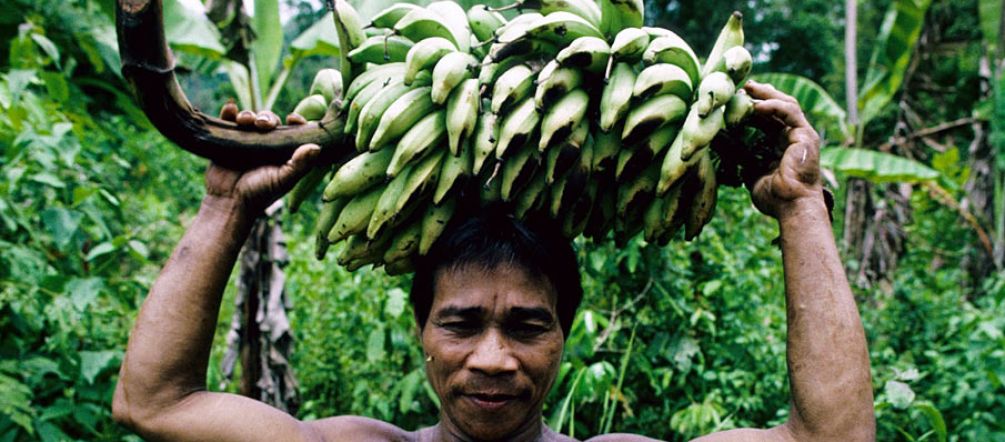 Palawan