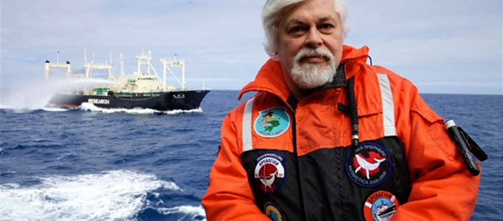 Paul Watson works tirelessly to protect the seas and animal rights (Photo: Sea Shepherd, Barbara Veiga) Paul Watson sitting in a boat on sea