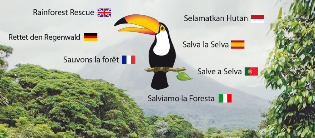 Rainforest, toucan logo