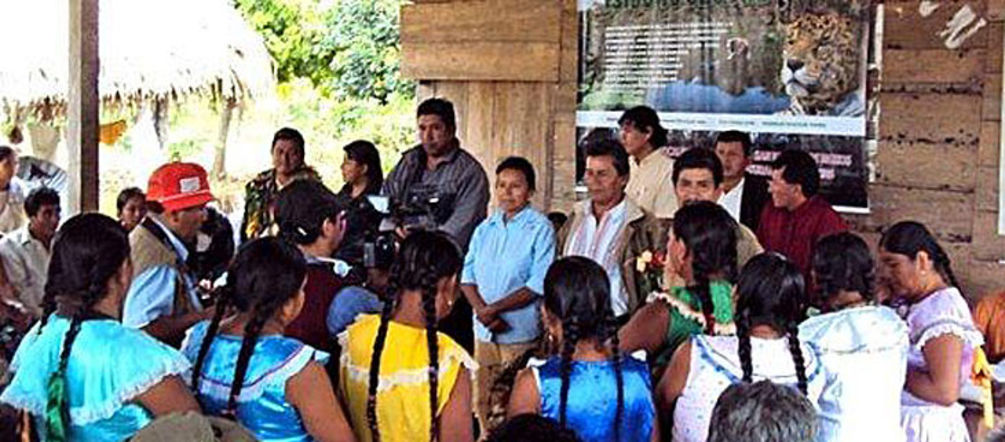 Indigenous peoples don't want a road through the rainforest