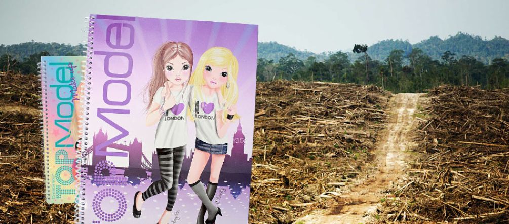 Pulp from rainforest trees has repeatedly been detected in Depesche products (background photo: RAN) Photo montage with two Topmodel writing pads and a cleared rainforest area in the background