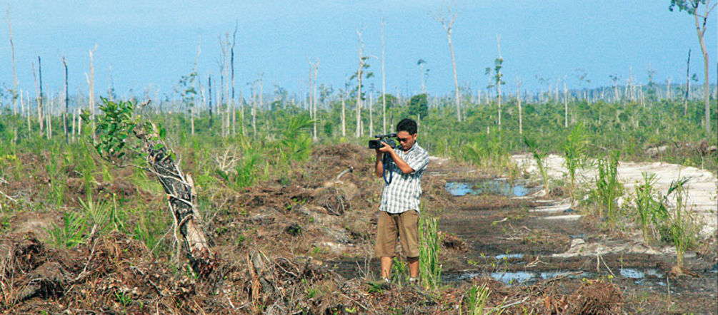 Conservationists record video of palm oil company Wilmar's logging activities